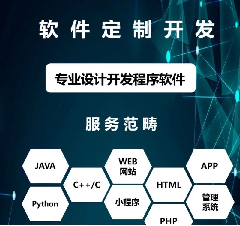 访谈记录:深度解析国内软件开发公司的TOP 10